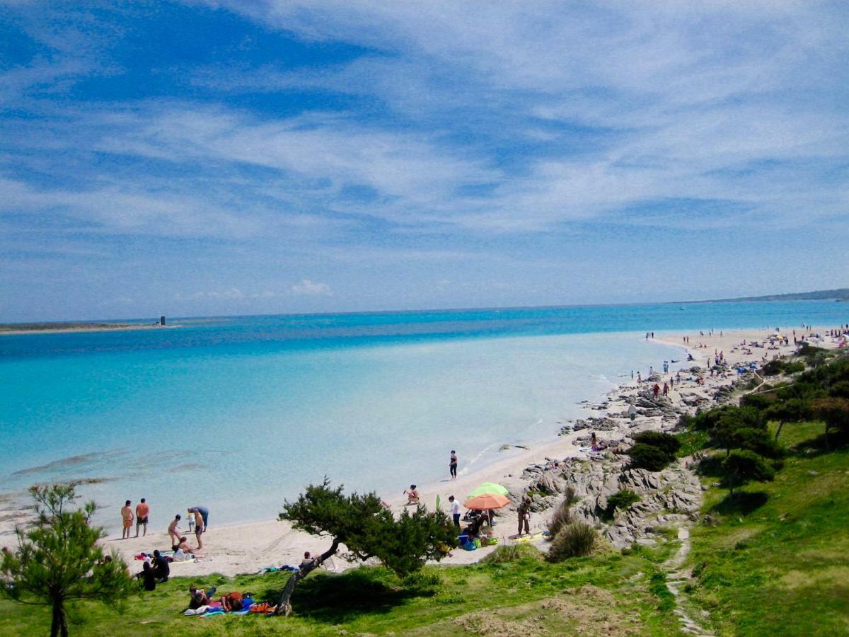 Appartamento Aria 150M Dal Mare Castelsardo Zewnętrze zdjęcie